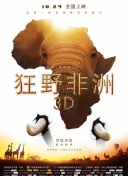 极限挑战中的团队合作：提升游戏乐趣的关键